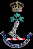 Blazer Badge